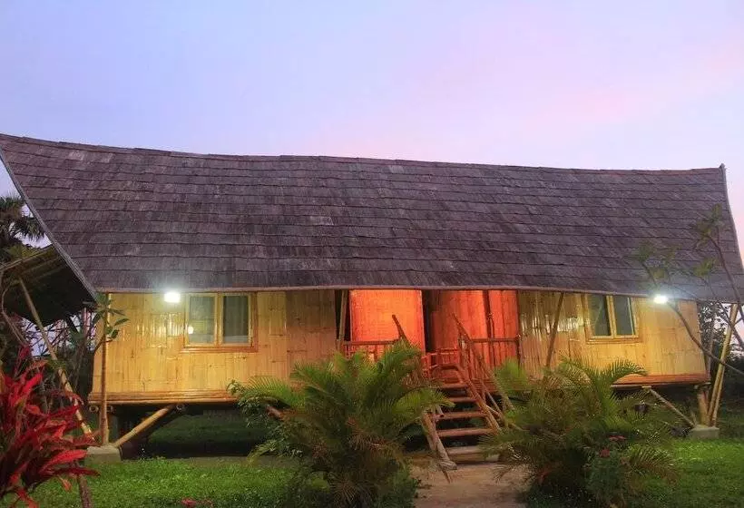 ホテル Hanchey Bamboo Resort