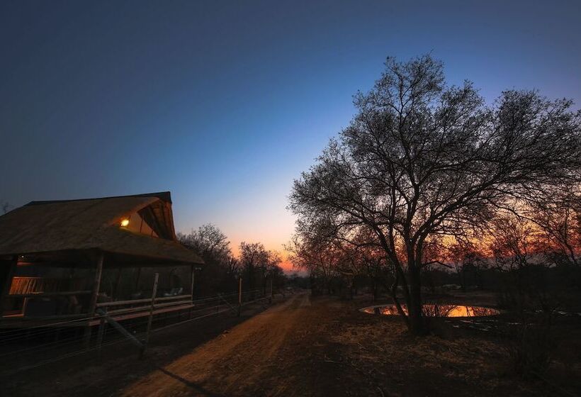 酒店 Nkala Safari Lodge