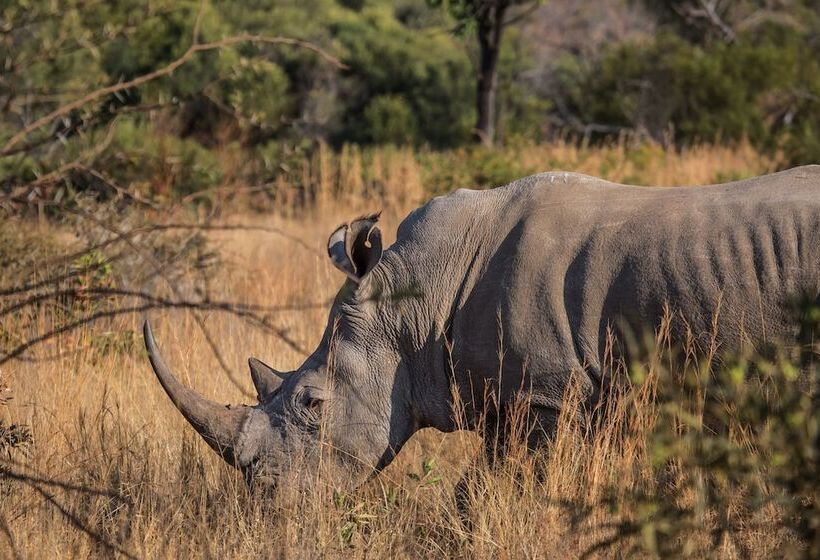 酒店 Nkala Safari Lodge