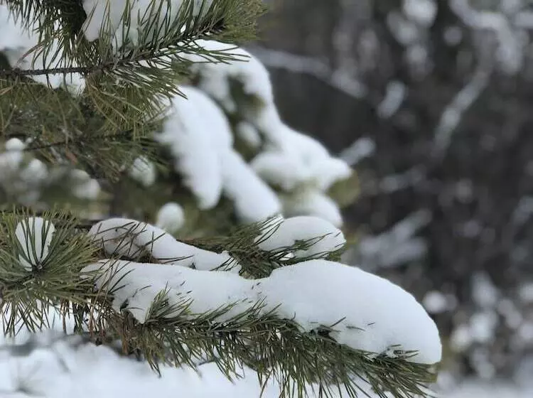 Hotelli Stolitsa Mira