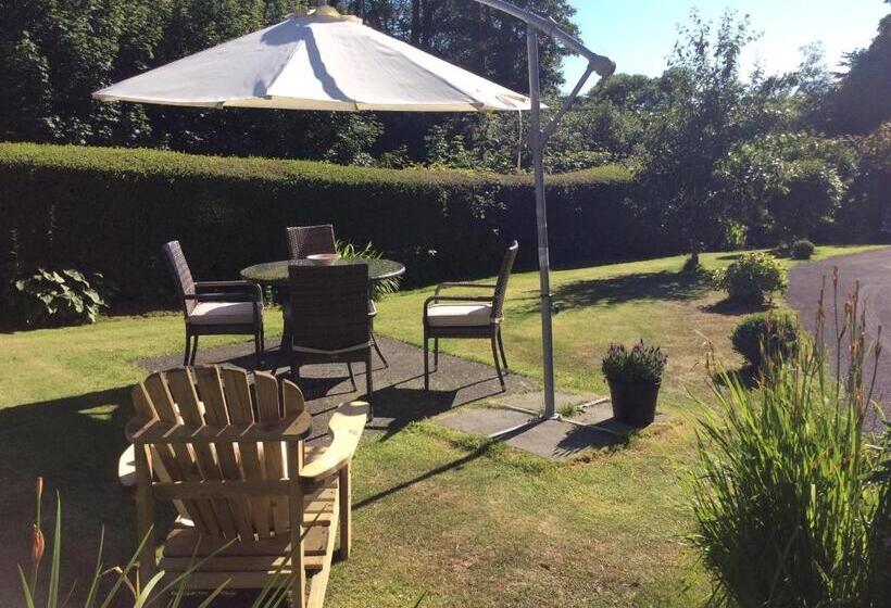 Bed and Breakfast Bron Aber