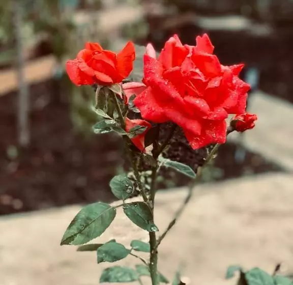 Hestia   Hotel, Wine And View