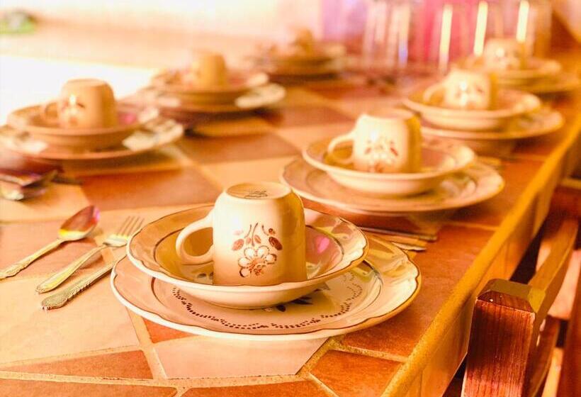 Отель Bungalows El Rincon De La Riviera