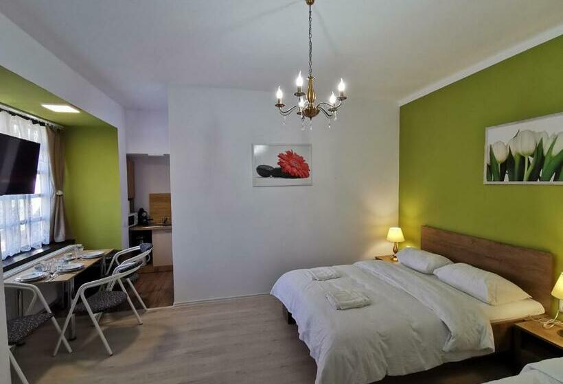 بنسيون Ambient Deluxe Apartman