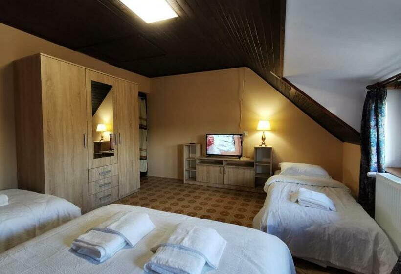 بنسيون Ambient Deluxe Apartman