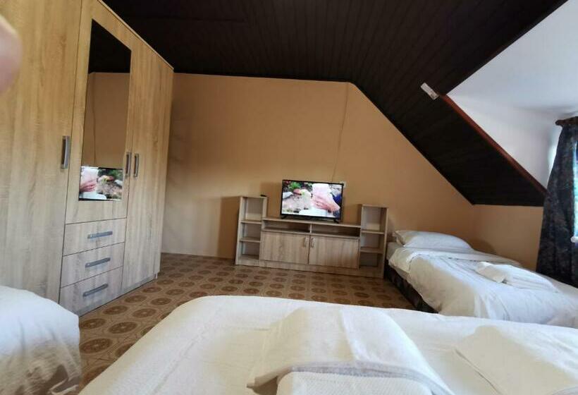 بنسيون Ambient Deluxe Apartman