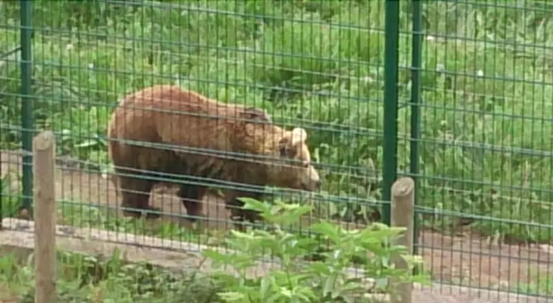 ペンション La Posada De Proaza