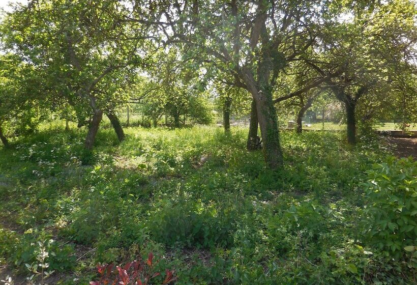 مبيت وإفطار Le Jardin, Chambres D Hôtes En Baie De Somme