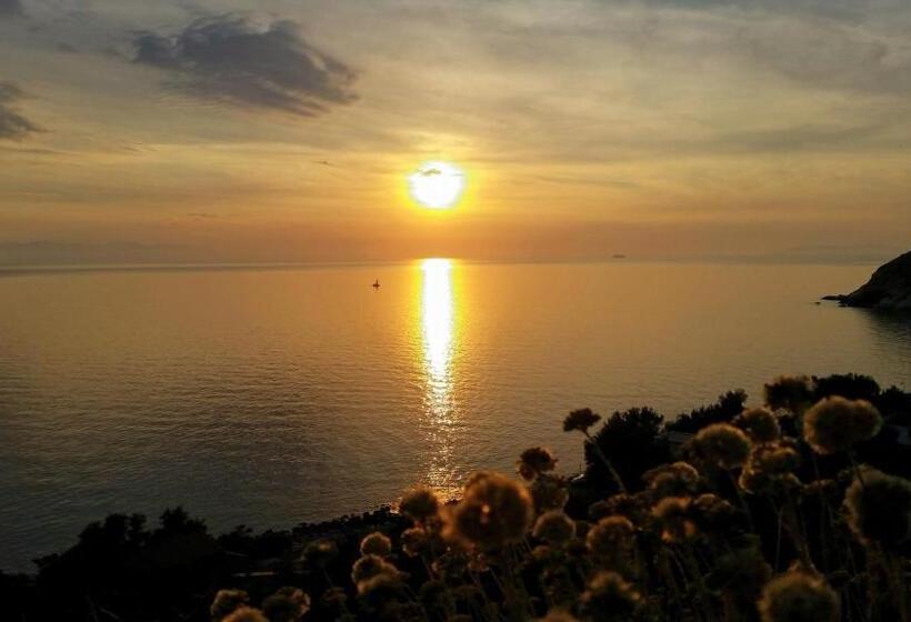 בית מלון כפרי L Ogliera