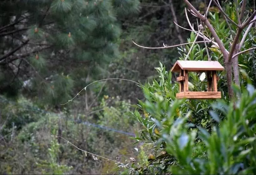 ホテル Nainital River Camp