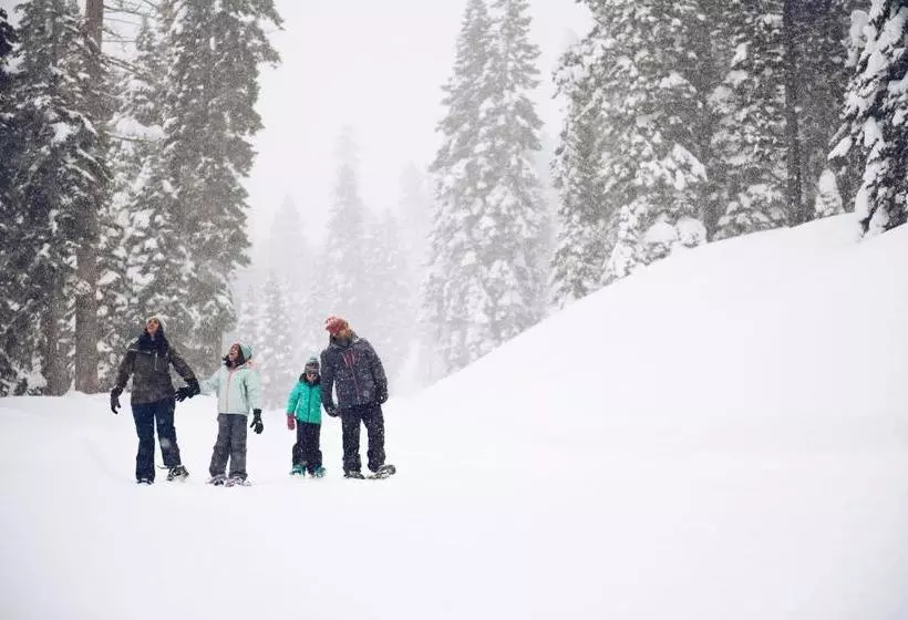 Hotelli Ski Trails 4015