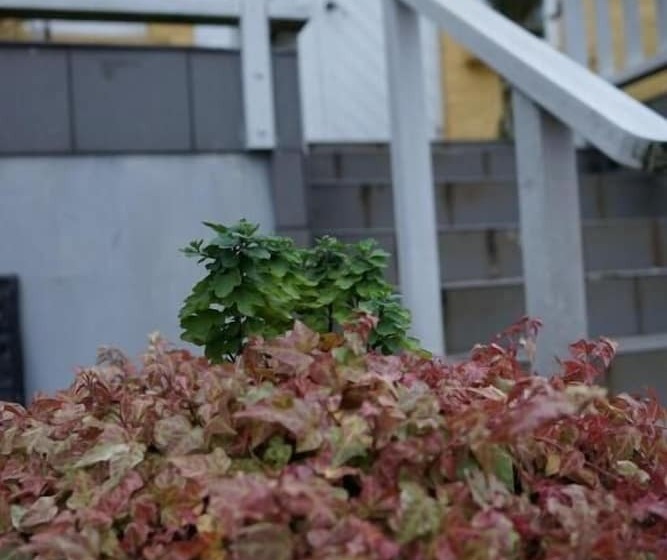 فندق Turistgården   House Of Ven