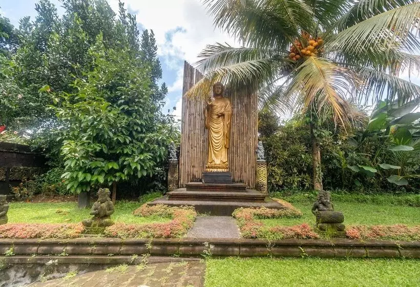 ペンション Asli Bali Villas