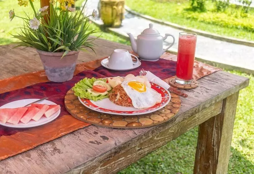 ペンション Asli Bali Villas