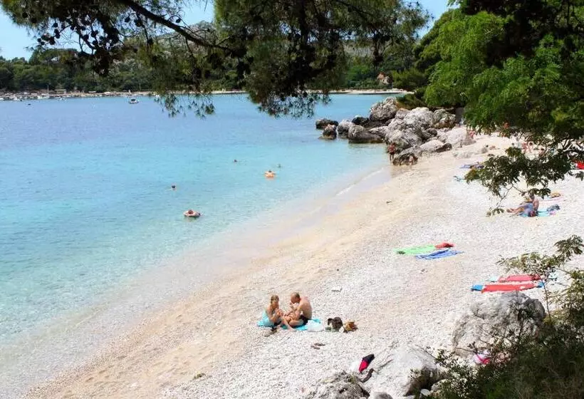 ペンション Rooms With A Parking Space Srebreno, Dubrovnik   4790