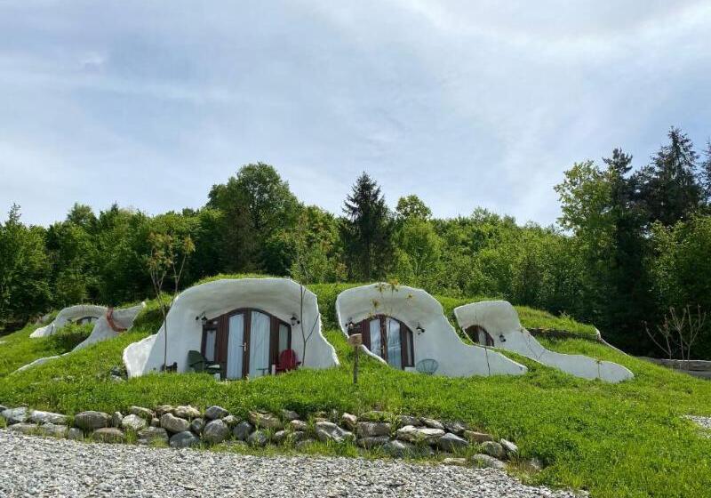 Pensiunea Dealul Verde