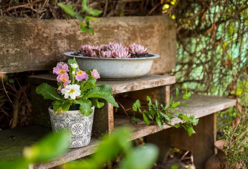 Aggie S Bed & Breakfast