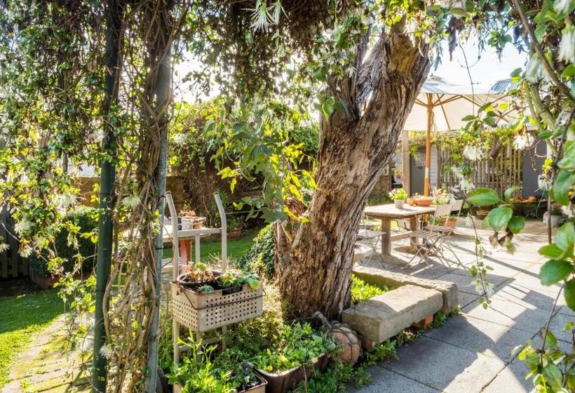 Aggie S Bed & Breakfast