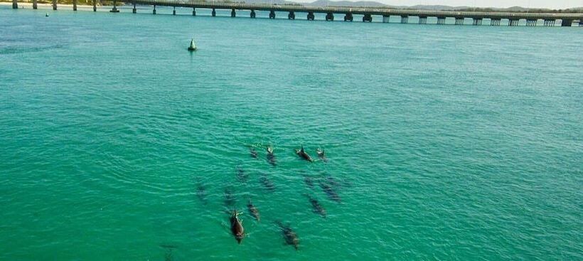 Forster And Wallis Lake Motel