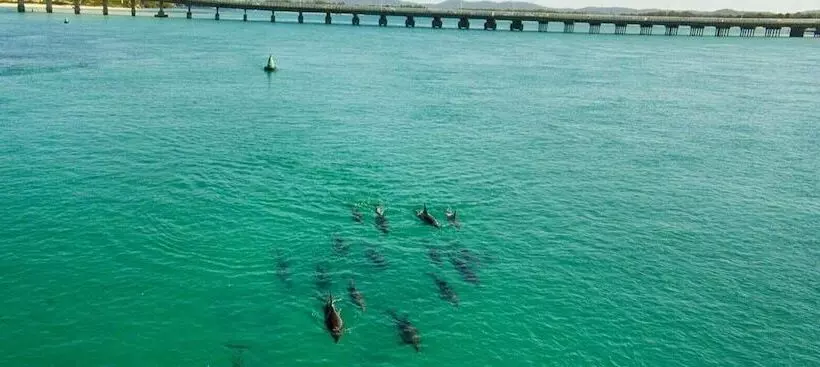 Forster And Wallis Lake Motel