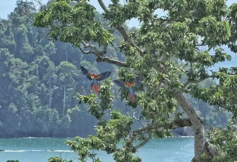 ホテル Bella Vista Corcovado