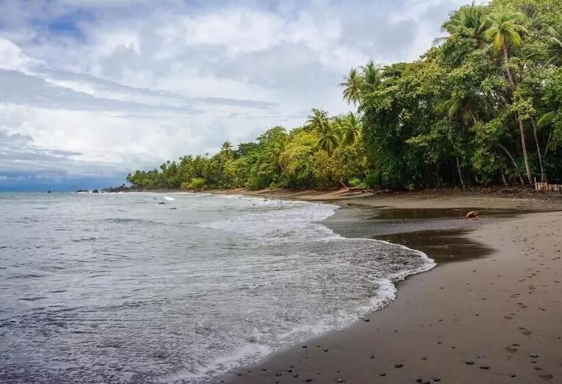 ホテル Bella Vista Corcovado