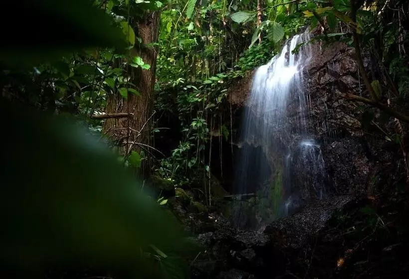 ホテル Bella Vista Corcovado