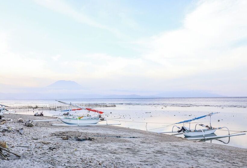 ホテル Swan Beach Inn