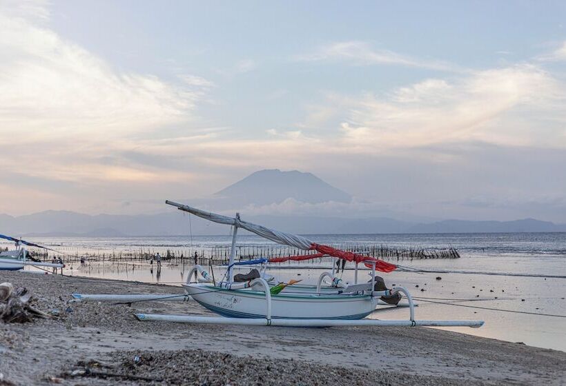 ホテル Swan Beach Inn