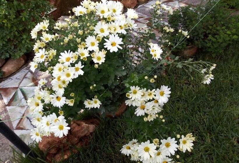 Pensionat Maison D'hotes Ait Bou Izryane