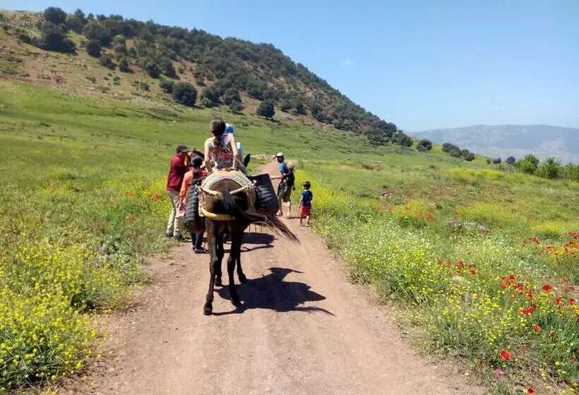 Majatalo Maison D'hotes Ait Bou Izryane