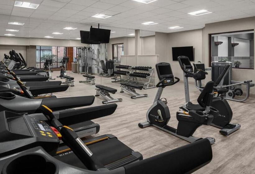 ホテル Austin Marriott North