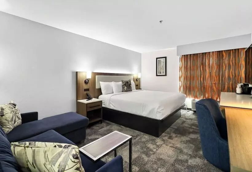 Szálloda La Quinta By Wyndham Atlanta South   Newnan