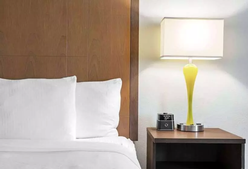 酒店 La Quinta By Wyndham Brownsville North