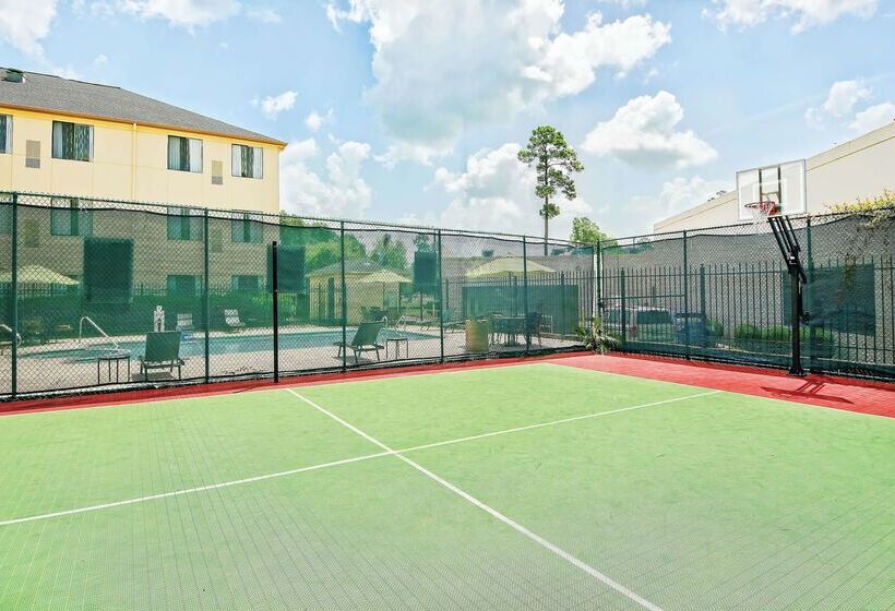 فندق La Quinta Inn & Suites By Wyndham The Woodlands/spring