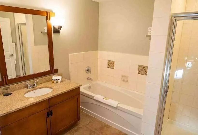 Hotel The Appalachian At Mountain Creek