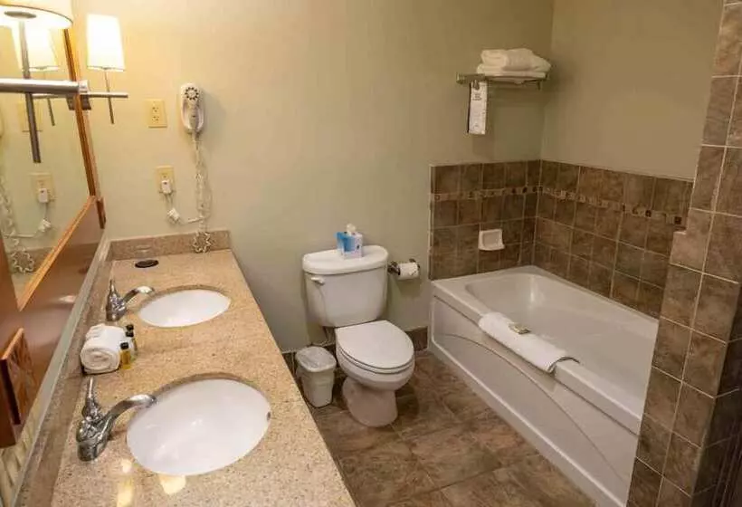 Hotel The Appalachian At Mountain Creek