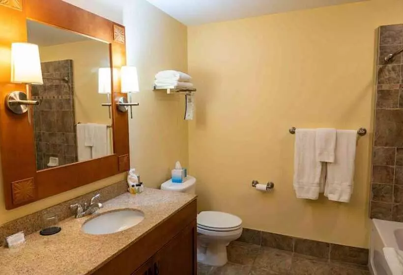 Hotel The Appalachian At Mountain Creek