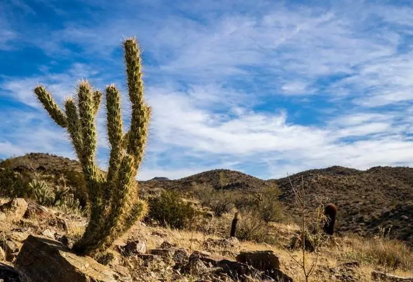 Movie Colony Hotel   Adults Only