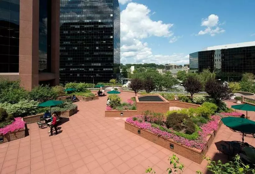 Furnished Quarters At The Metro White Plains