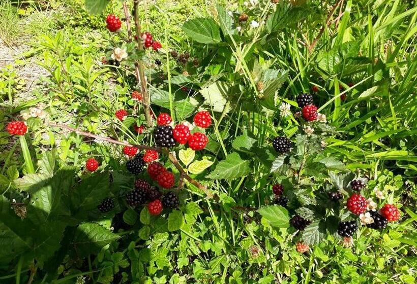 Hotel Caminho Do Sol