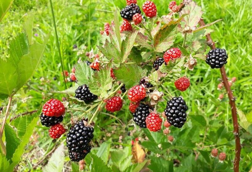 Hotel Caminho Do Sol