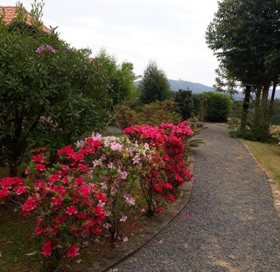 Hotel Caminho Do Sol