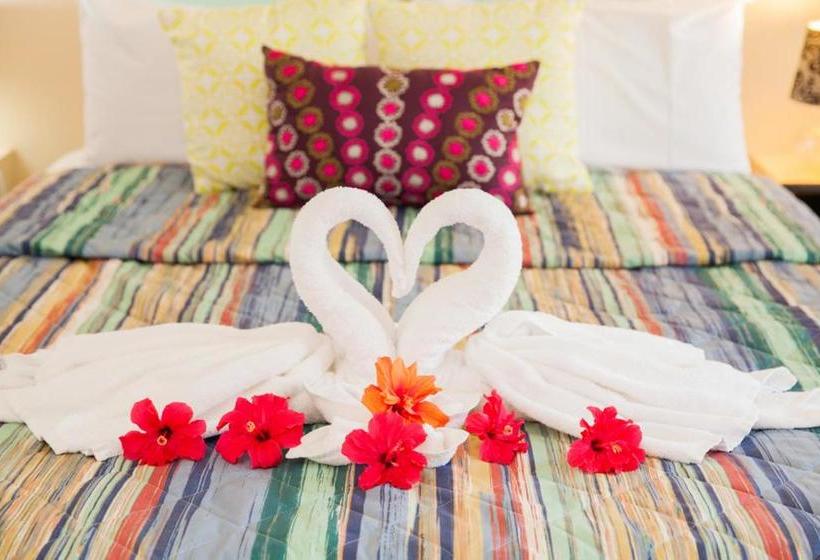 Мотель Kempsey Rose Motor Inn