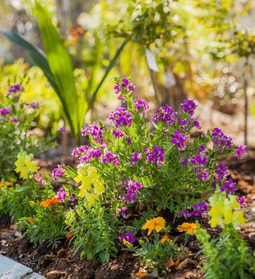 Мотель Kempsey Rose Motor Inn