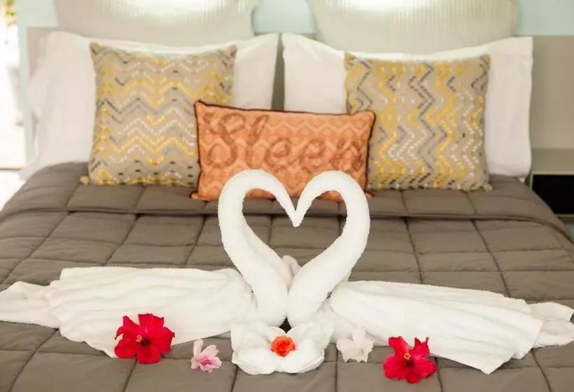 モーテル Kempsey Rose Motor Inn