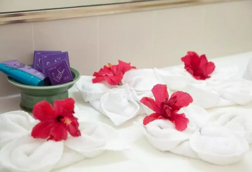 モーテル Kempsey Rose Motor Inn