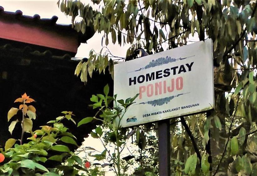 بنسيون Homestay Ponijo
