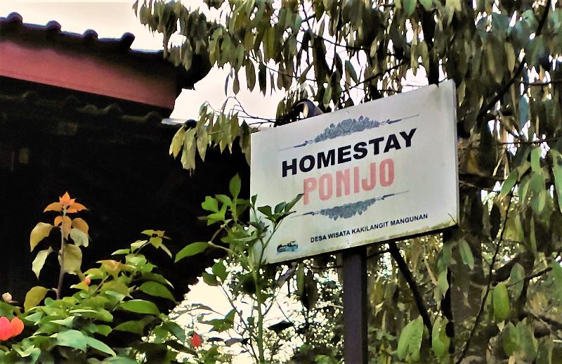 بنسيون Homestay Ponijo