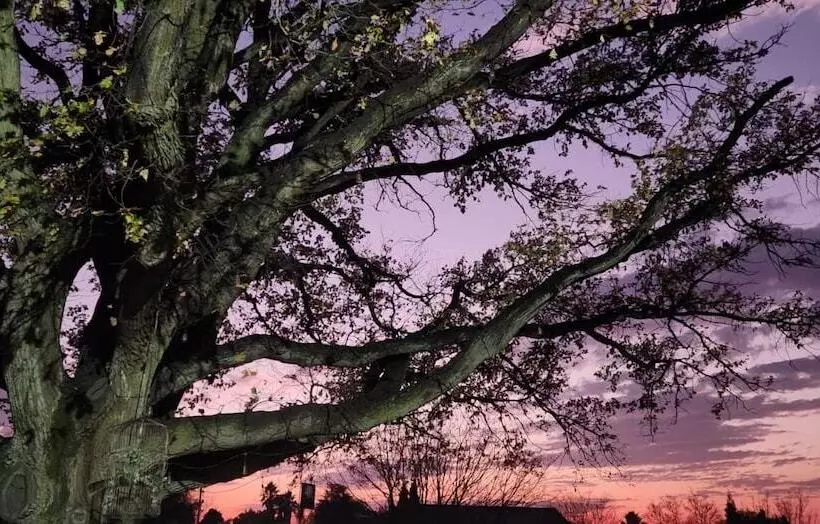 Majatalo Oak View Manor